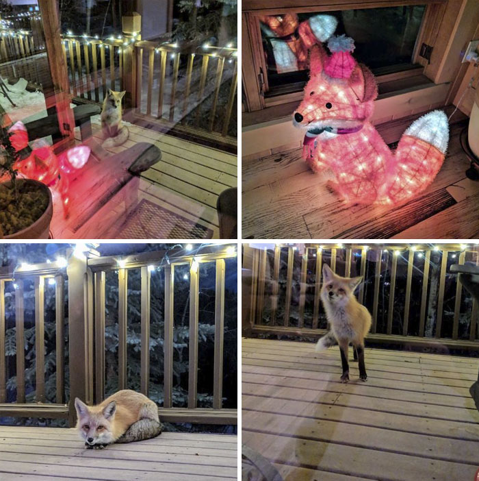 50 Wholesome Pics That Will Make Your Day