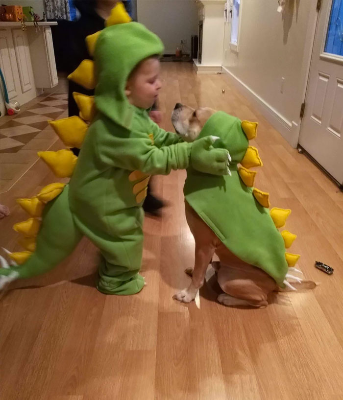 50 Wholesome Pics That Will Make Your Day