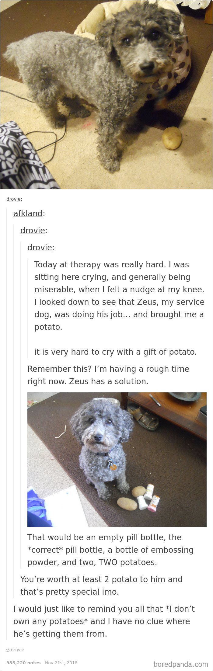 50 Wholesome Pics That Will Make Your Day