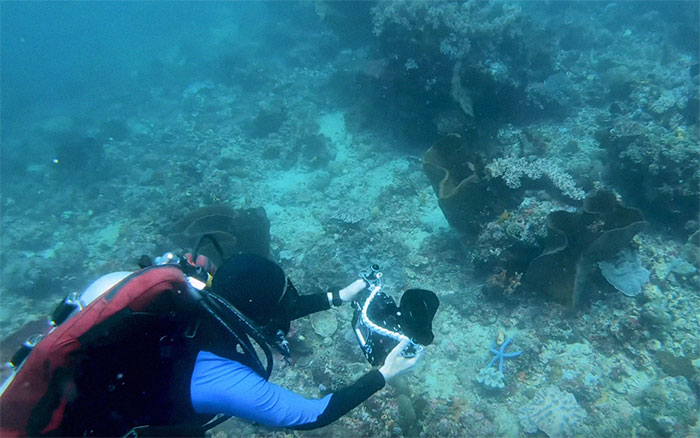 Scientists Create An Algorithm That Removes Color Distortion From Underwater Photos And Here Are 8 Before And After Pics Scientists Create An Algorithm That Removes Color Distortion From Underwater Photos And Here Are 8 Before And After Pics