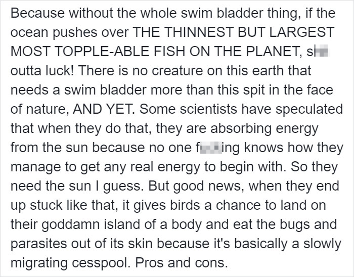 People Are Hysterical Over A Viral Sunfish Rant On Facebook People Are Hysterical Over A Viral Sunfish Rant On Facebook