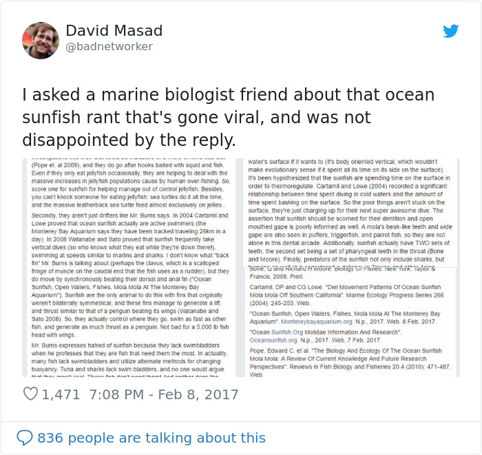 People Are Hysterical Over A Viral Sunfish Rant On Facebook People Are Hysterical Over A Viral Sunfish Rant On Facebook