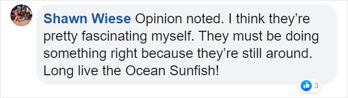 People Are Hysterical Over A Viral Sunfish Rant On Facebook People Are Hysterical Over A Viral Sunfish Rant On Facebook