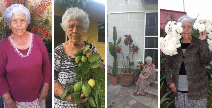 This Stylish Grandma Matches Her Outfits With The Flowers In Her Garden And Goes Viral This Stylish Grandma Matches Her Outfits With The Flowers In Her Garden And Goes Viral