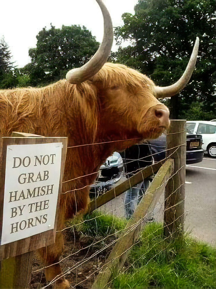 40 Threatening Signs That Don’t Mess With Sugar-Coating 40 Threatening Signs That Don’t Mess With Sugar-Coating