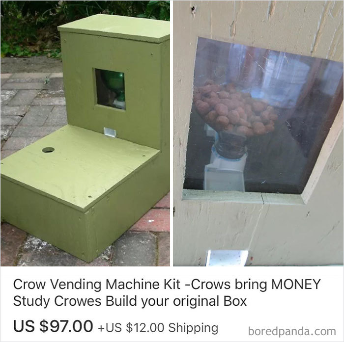 30 Eyebrow-Raising eBay Listings Collected By This Instagram Account