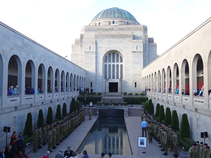 Pigeon Builds A Nest After Stealing Poppies From An Unknown Soldier’s Grave Pigeon Builds A Nest After Stealing Poppies From An Unknown Soldier’s Grave