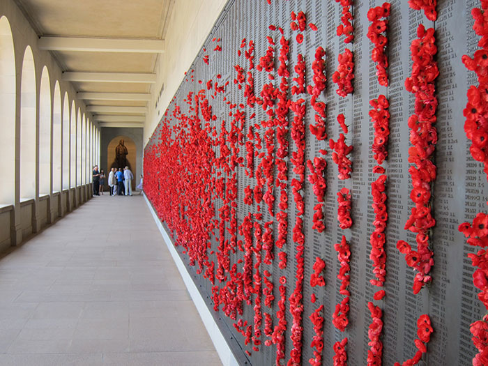 Pigeon Builds A Nest After Stealing Poppies From An Unknown Soldier’s Grave Pigeon Builds A Nest After Stealing Poppies From An Unknown Soldier’s Grave