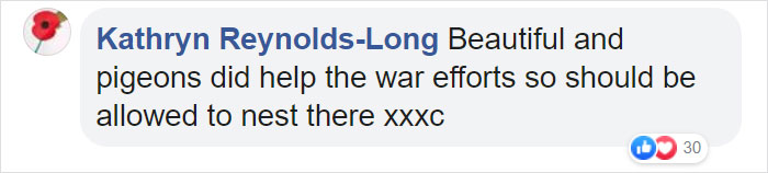 Pigeon Builds A Nest After Stealing Poppies From An Unknown Soldier’s Grave Pigeon Builds A Nest After Stealing Poppies From An Unknown Soldier’s Grave