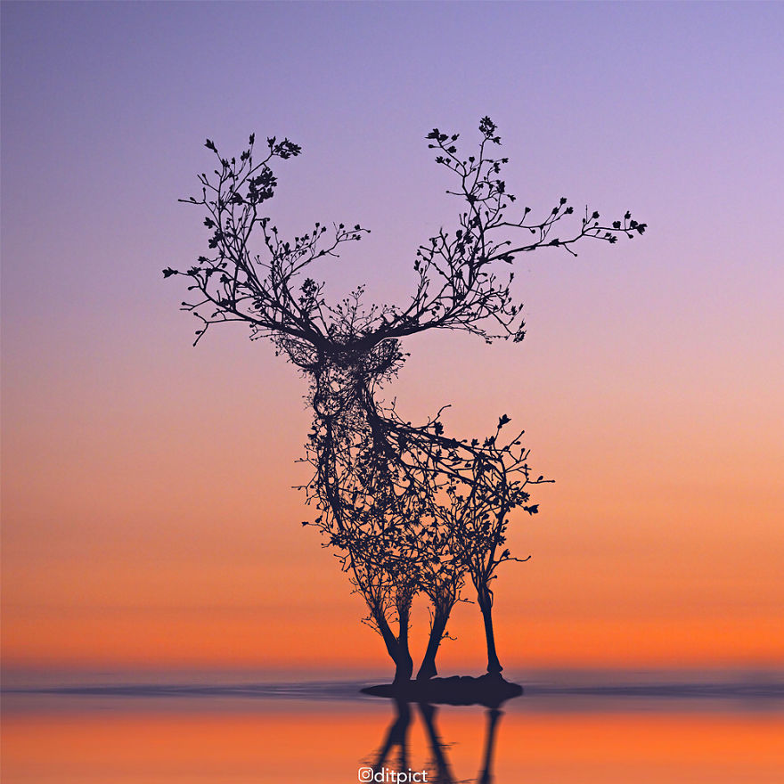 Indonesian Digital Artist Aditya Aryanto Photoshops Animals Into Surreal, Silly, And Unexpected Situations (50 Pics)