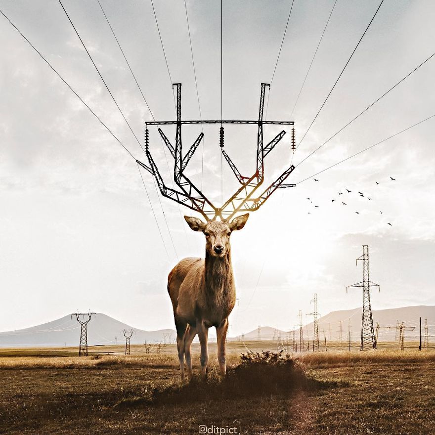 Indonesian Digital Artist Aditya Aryanto Photoshops Animals Into Surreal, Silly, And Unexpected Situations (50 Pics)