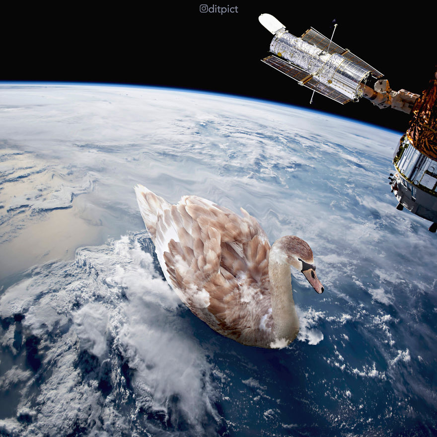 Indonesian Digital Artist Aditya Aryanto Photoshops Animals Into Surreal, Silly, And Unexpected Situations (50 Pics)