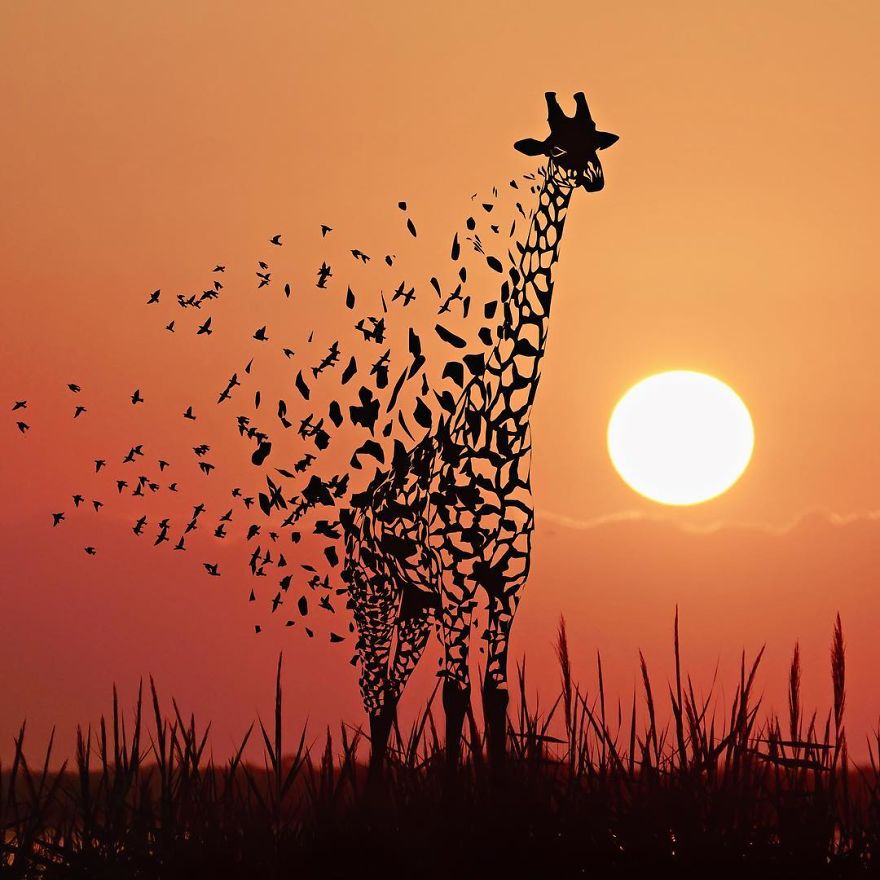 Indonesian Digital Artist Aditya Aryanto Photoshops Animals Into Surreal, Silly, And Unexpected Situations (50 Pics)