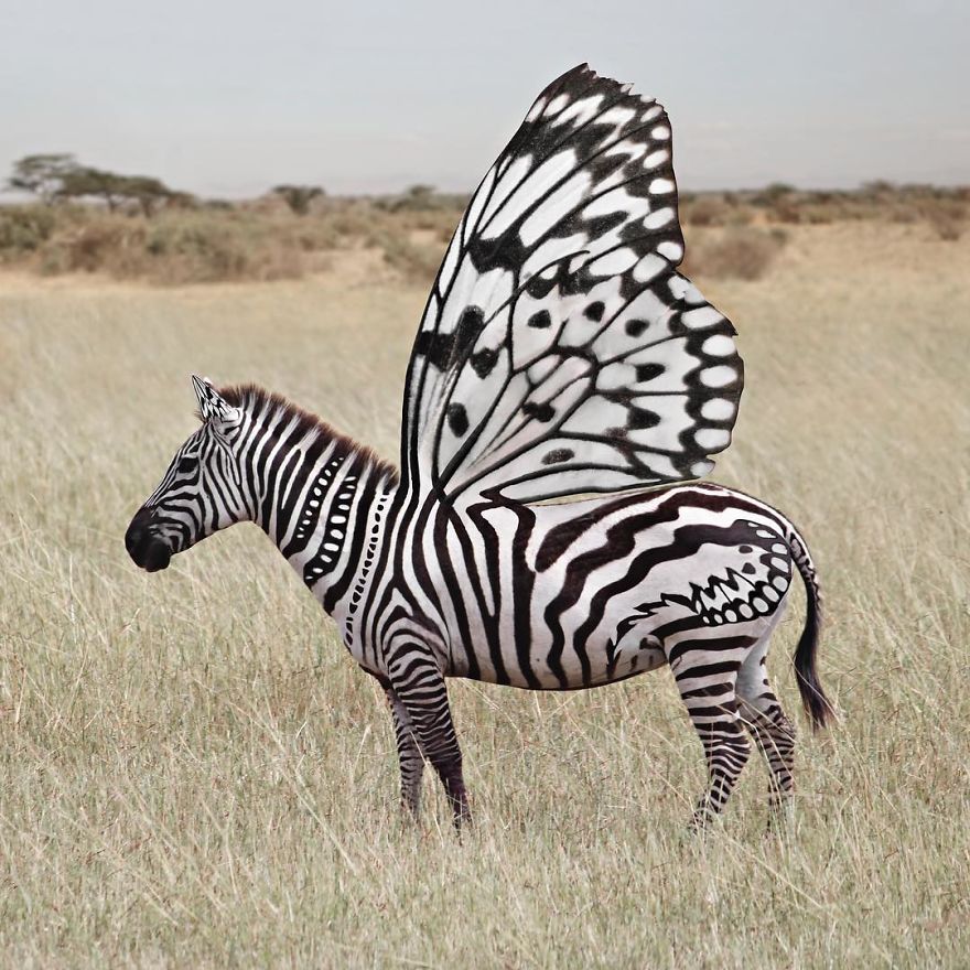 Indonesian Digital Artist Aditya Aryanto Photoshops Animals Into Surreal, Silly, And Unexpected Situations (50 Pics)