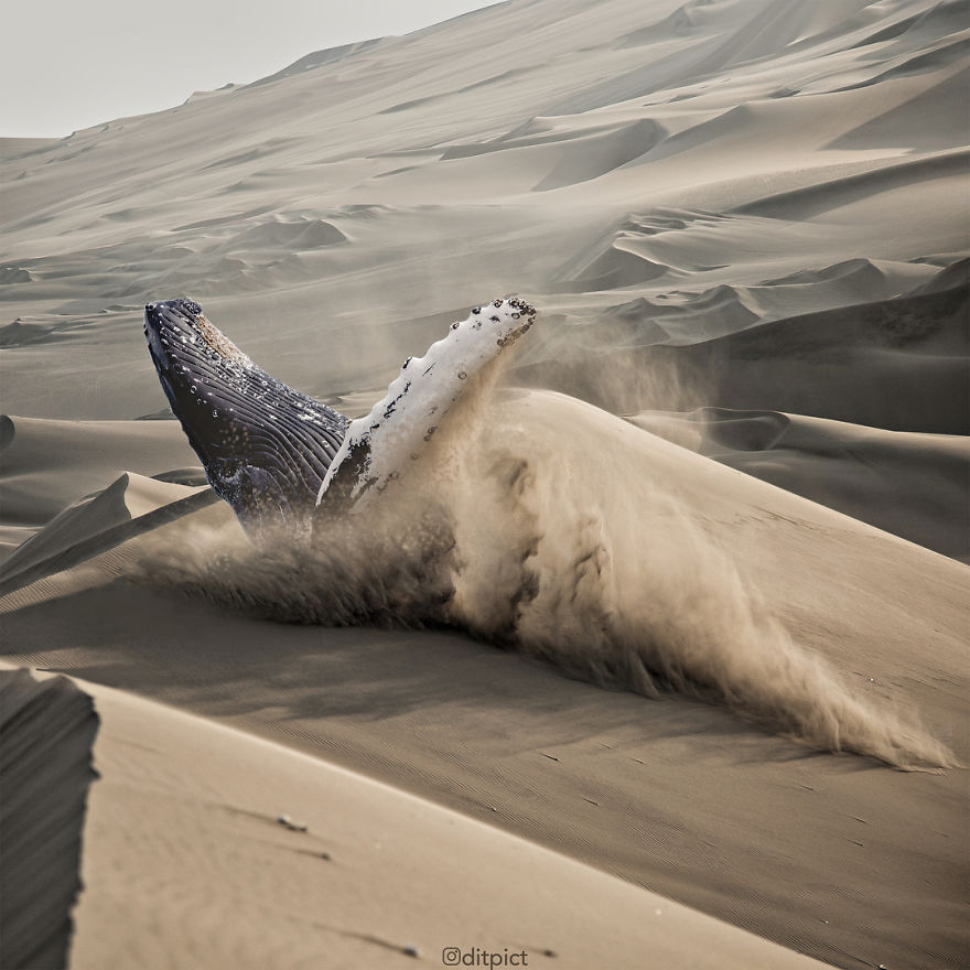 Indonesian Digital Artist Aditya Aryanto Photoshops Animals Into Surreal, Silly, And Unexpected Situations (50 Pics)