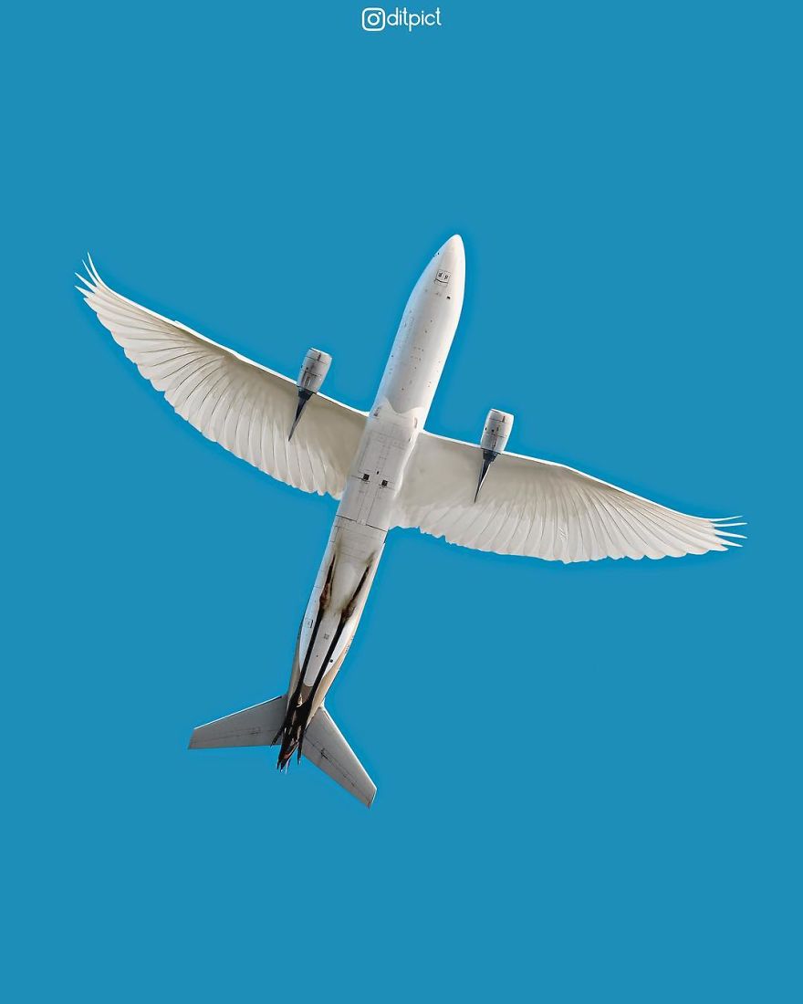 Indonesian Digital Artist Aditya Aryanto Photoshops Animals Into Surreal, Silly, And Unexpected Situations (50 Pics)