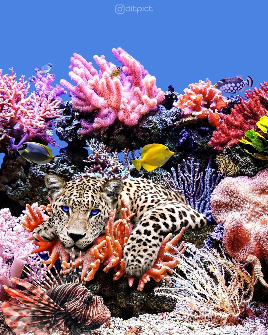 Indonesian Digital Artist Aditya Aryanto Photoshops Animals Into Surreal, Silly, And Unexpected Situations (50 Pics)