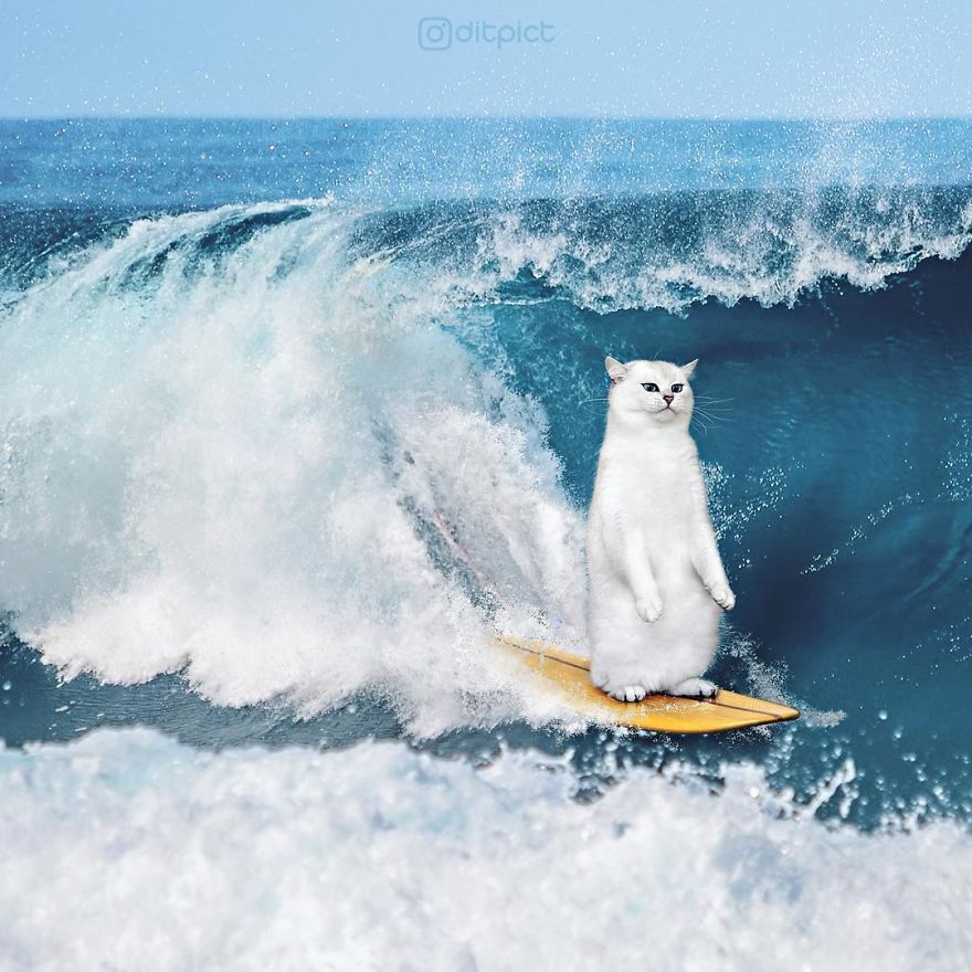 Indonesian Digital Artist Aditya Aryanto Photoshops Animals Into Surreal, Silly, And Unexpected Situations (50 Pics)