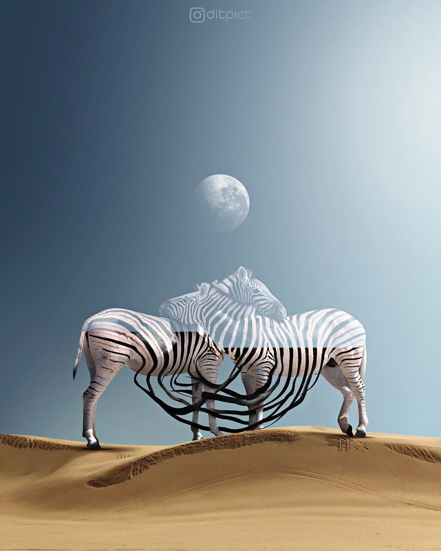 Indonesian Digital Artist Aditya Aryanto Photoshops Animals Into Surreal, Silly, And Unexpected Situations (50 Pics)