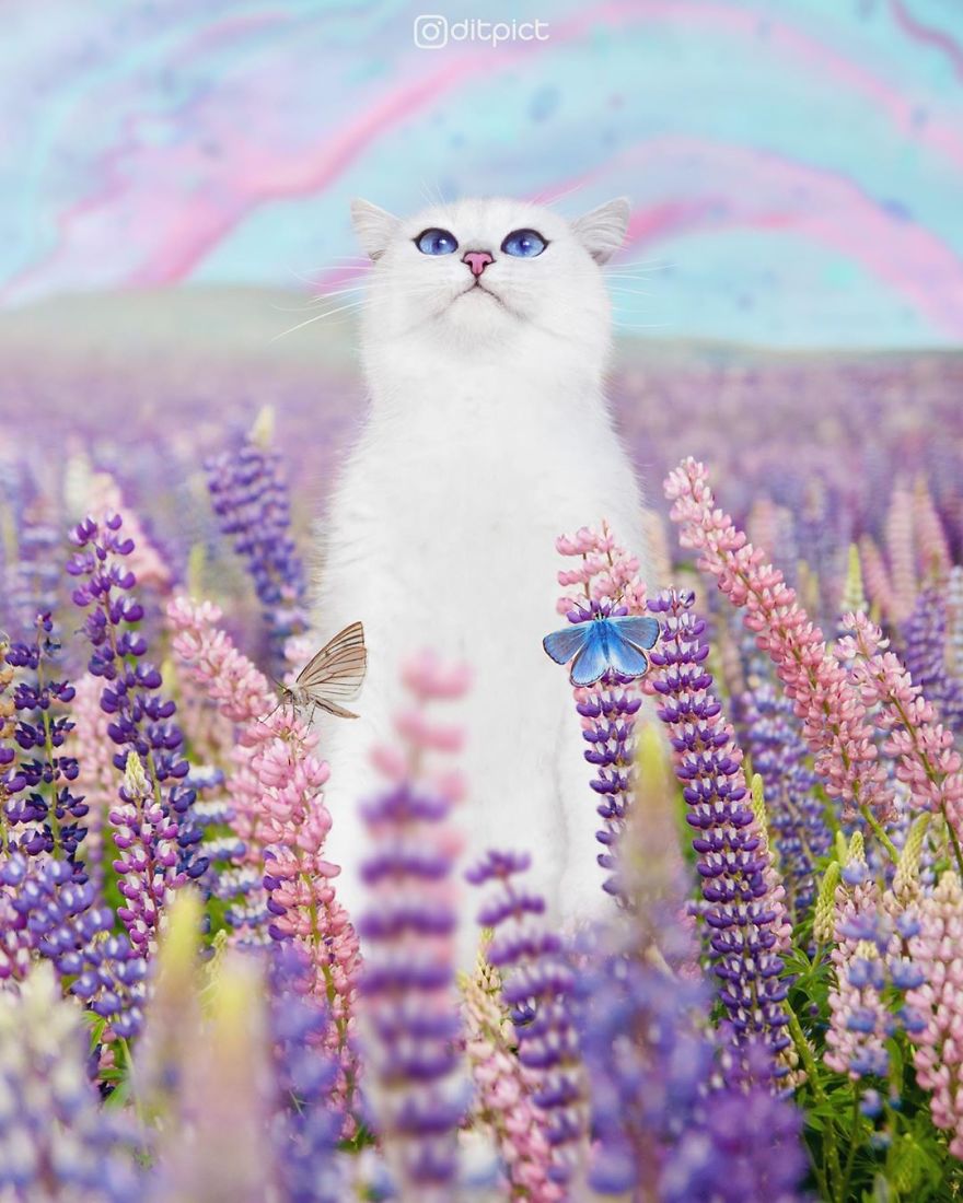 Indonesian Digital Artist Aditya Aryanto Photoshops Animals Into Surreal, Silly, And Unexpected Situations (50 Pics)