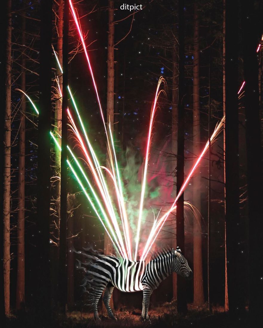 Indonesian Digital Artist Aditya Aryanto Photoshops Animals Into Surreal, Silly, And Unexpected Situations (50 Pics)