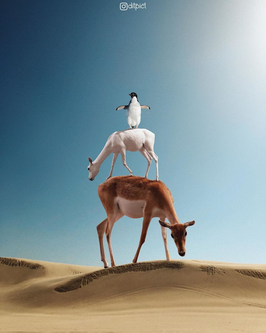 Indonesian Digital Artist Aditya Aryanto Photoshops Animals Into Surreal, Silly, And Unexpected Situations (50 Pics)