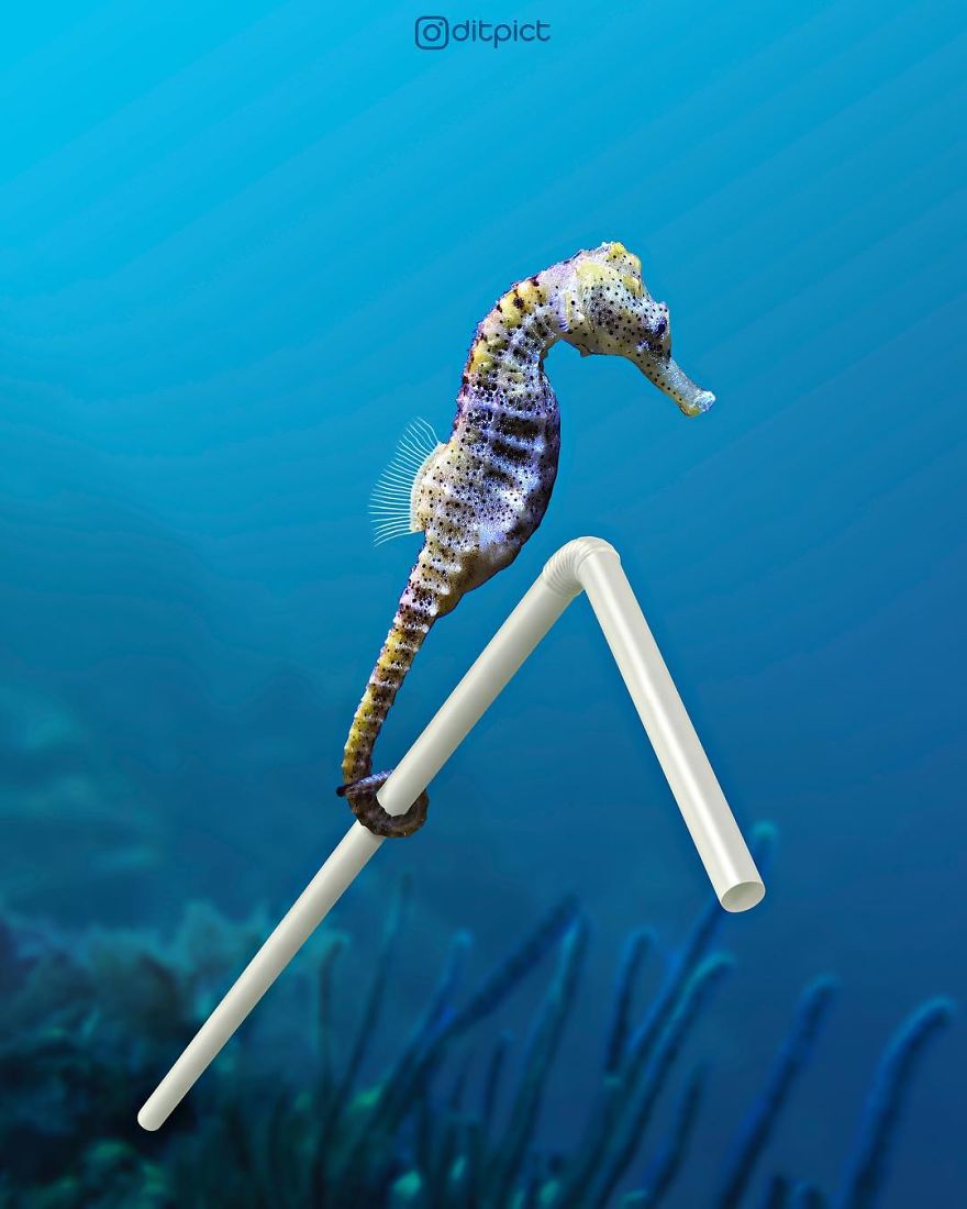 Indonesian Digital Artist Aditya Aryanto Photoshops Animals Into Surreal, Silly, And Unexpected Situations (50 Pics)