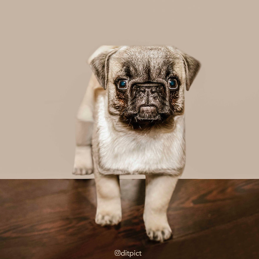 Indonesian Digital Artist Aditya Aryanto Photoshops Animals Into Surreal, Silly, And Unexpected Situations (50 Pics)