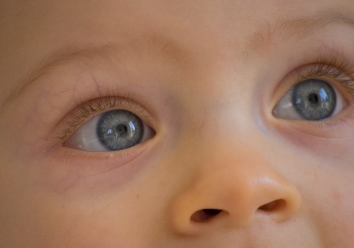 Here Are 30 Things That You Probably Were Told To Be The Truth, But Actually Aren&#8217;t