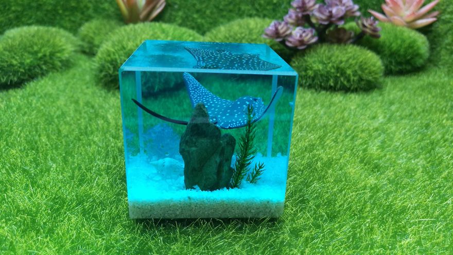 We Make Paperweights Using Fragments Of Nature And 3D Fish Embedded In Resin We Make Paperweights Using Fragments Of Nature And 3D Fish Embedded In Resin
