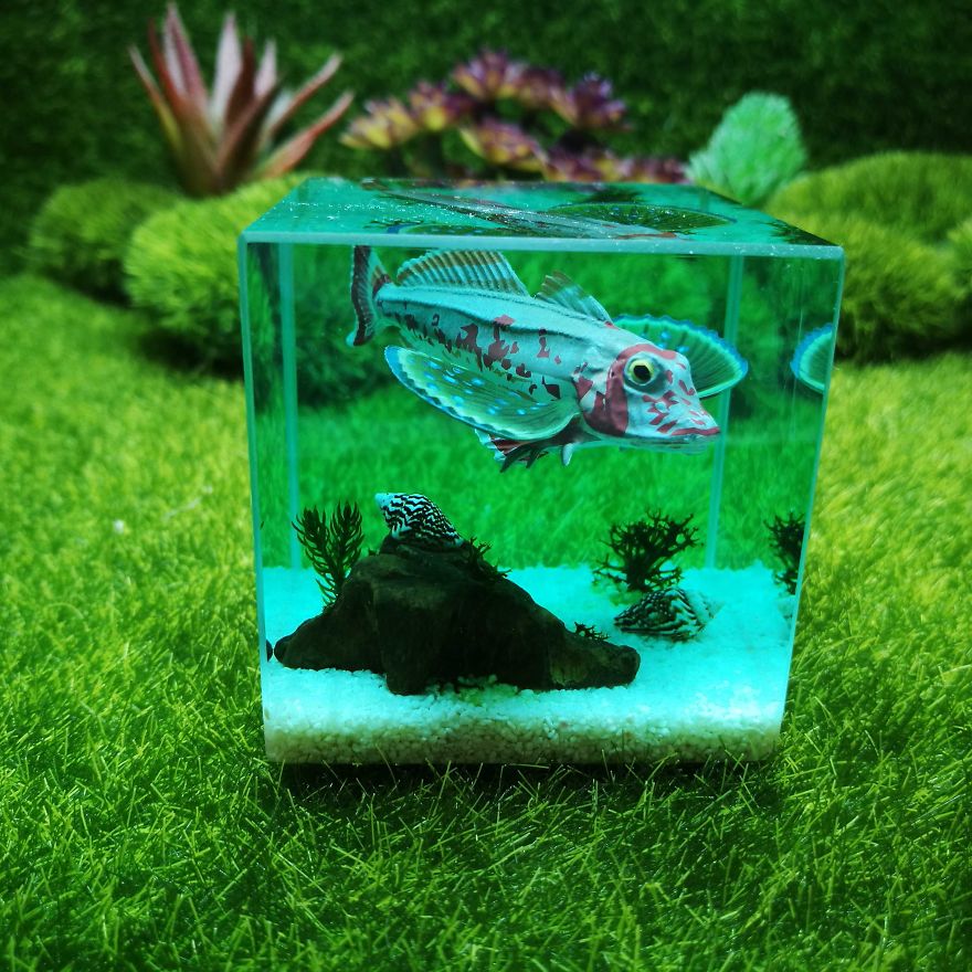We Make Paperweights Using Fragments Of Nature And 3D Fish Embedded In Resin We Make Paperweights Using Fragments Of Nature And 3D Fish Embedded In Resin