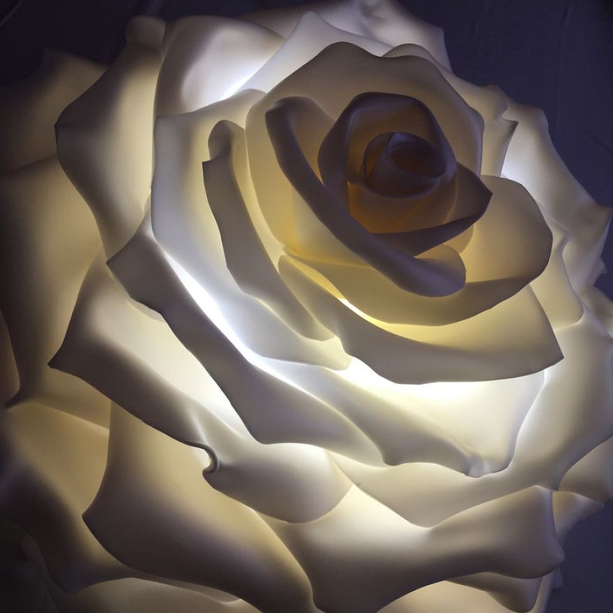 Start Up At 47 Y.o. Giant Flowers Bloom In Her Hands