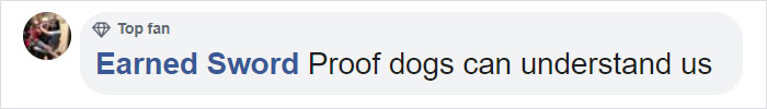 “Happy Ball Want Outside:” Dog Learns To Talk Using A Word Machine, Already Knows 29 Words “Happy Ball Want Outside:” Dog Learns To Talk Using A Word Machine, Already Knows 29 Words