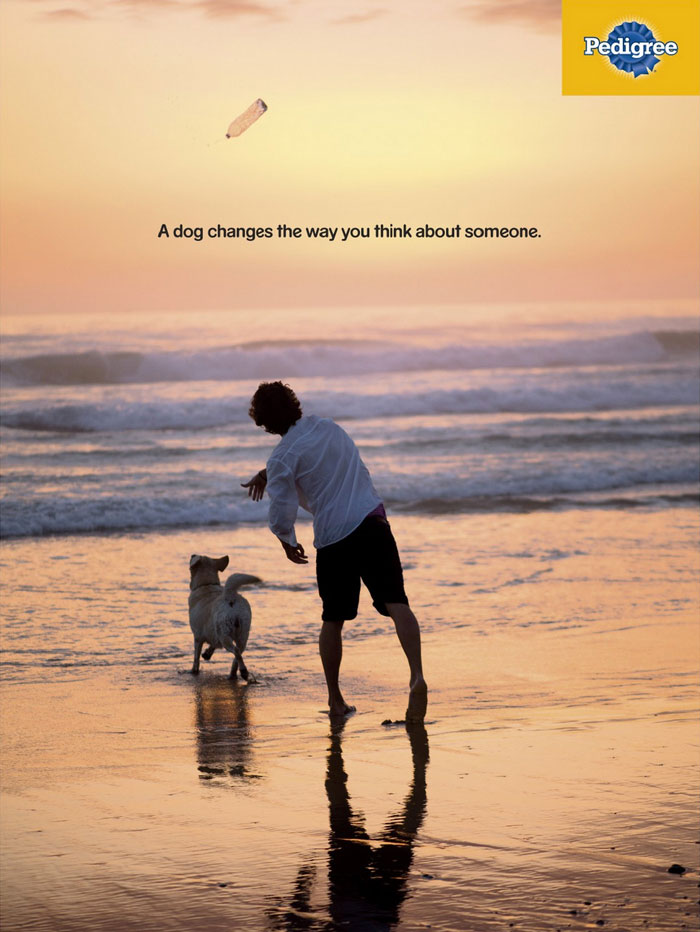 Ad Campaigns Tell How A Dog Can Transform A Person’s Life (16 Pics) Ad Campaigns Tell How A Dog Can Transform A Person’s Life (16 Pics)