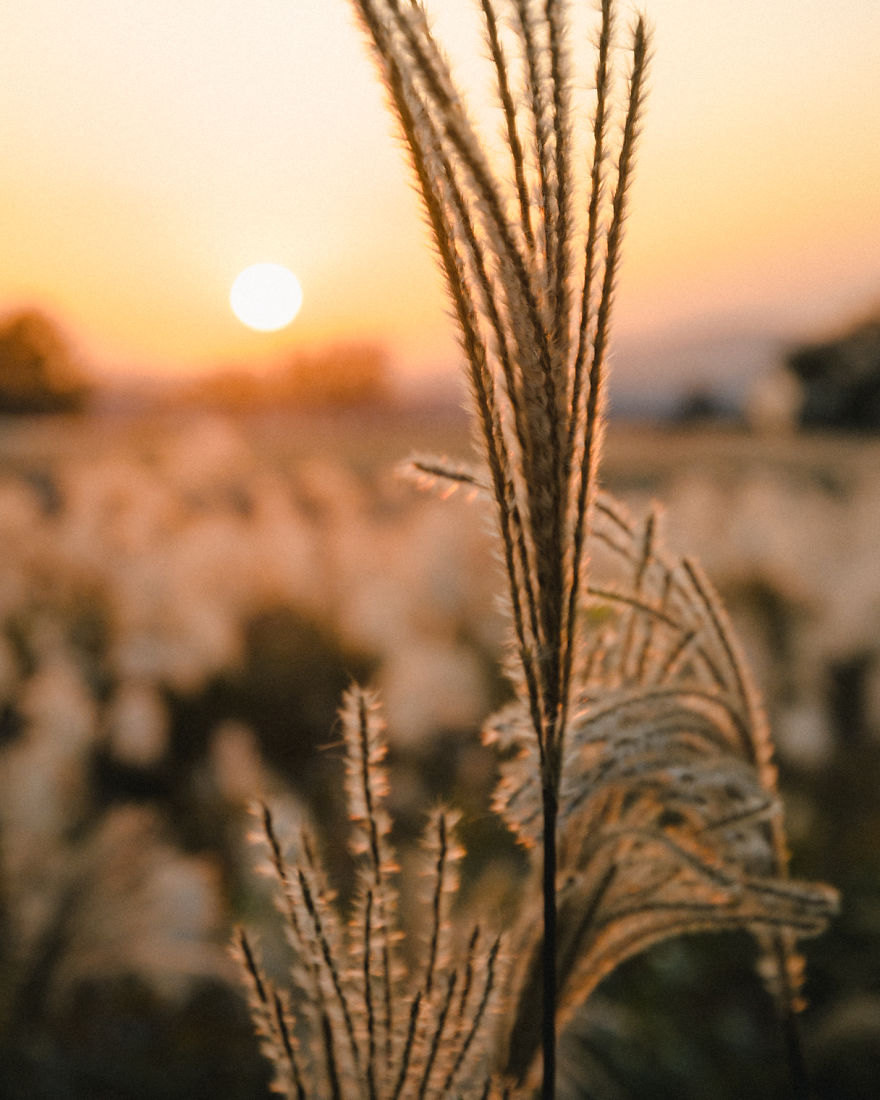 After Three Years From My First Time In Korea, I Moved To Seoul To Change My Life After Three Years From My First Time In Korea, I Moved To Seoul To Change My Life