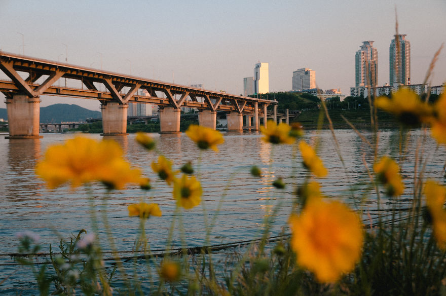 After Three Years From My First Time In Korea, I Moved To Seoul To Change My Life After Three Years From My First Time In Korea, I Moved To Seoul To Change My Life