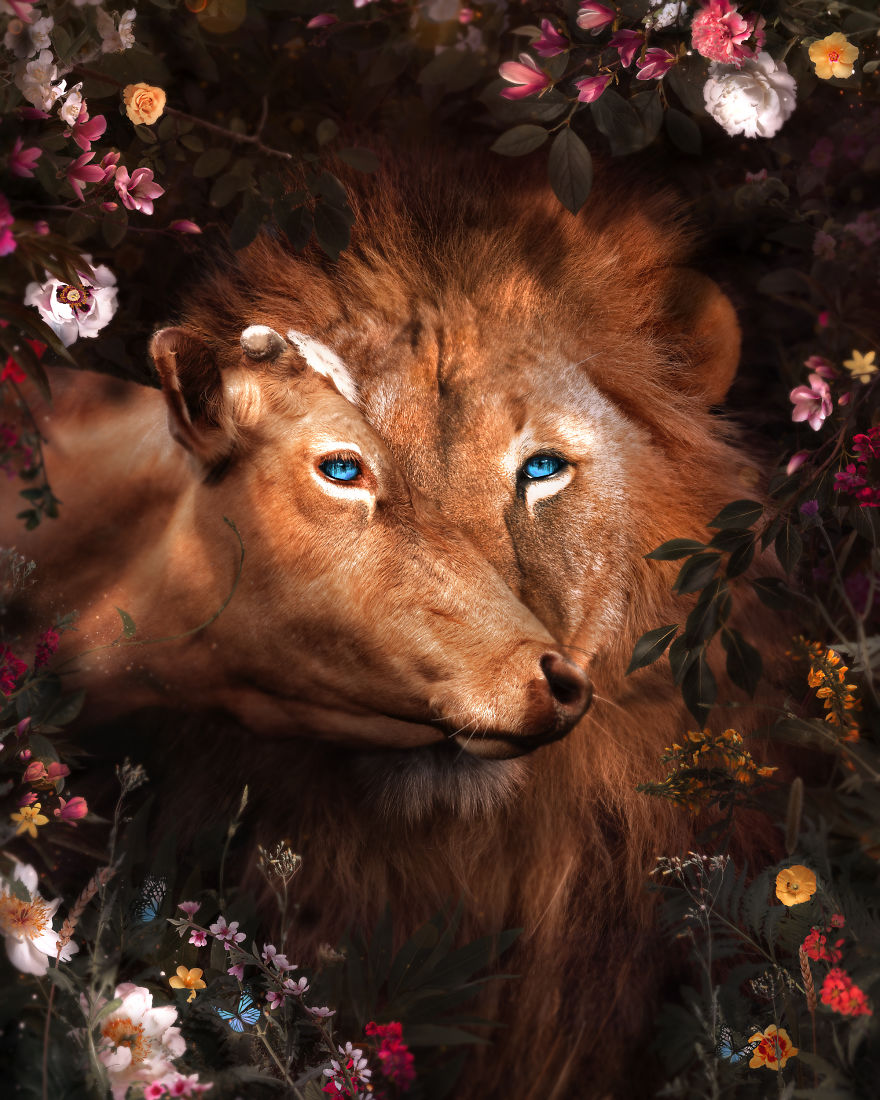 My 38 New Surreal Images That I Created To Raise Awareness About Speciesism My 38 New Surreal Images That I Created To Raise Awareness About Speciesism