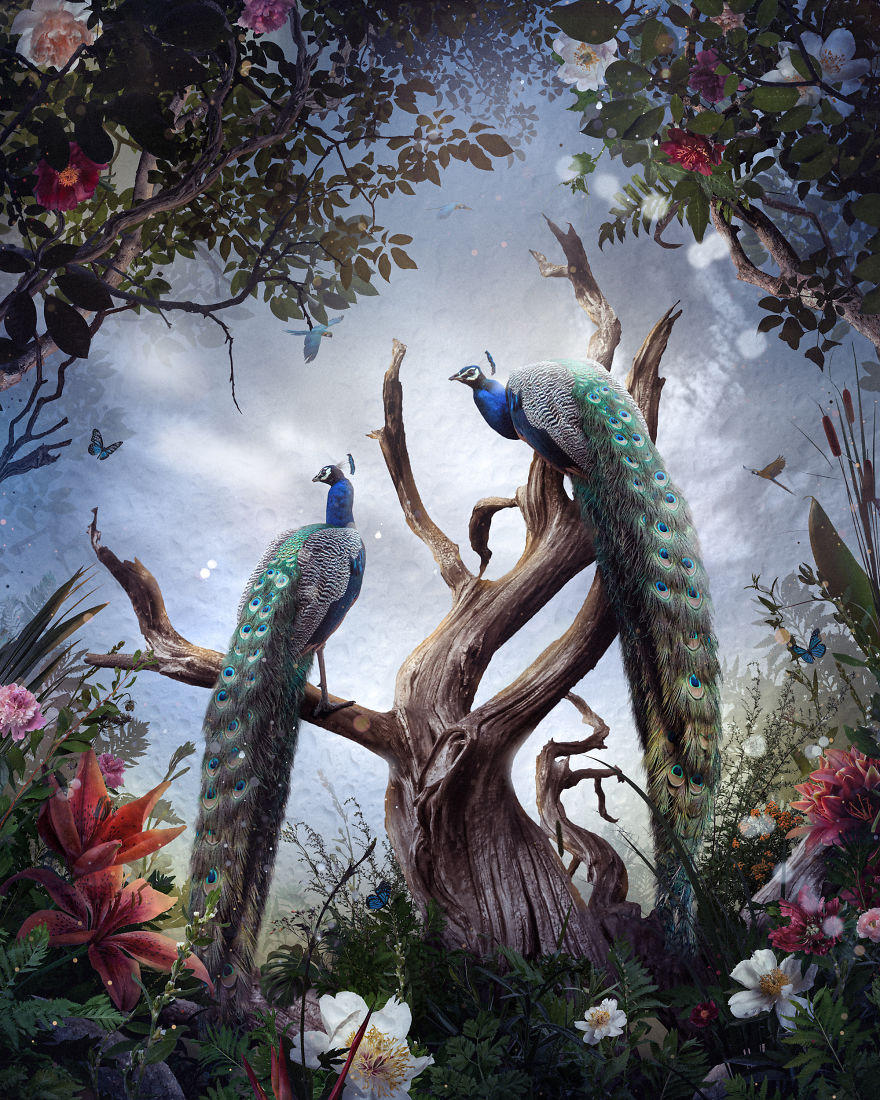 My 38 New Surreal Images That I Created To Raise Awareness About Speciesism My 38 New Surreal Images That I Created To Raise Awareness About Speciesism