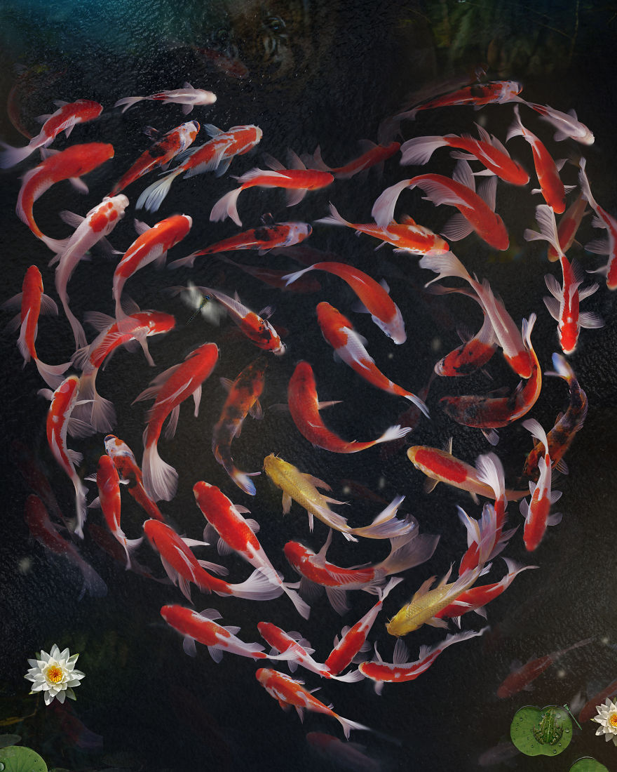 My 38 New Surreal Images That I Created To Raise Awareness About Speciesism My 38 New Surreal Images That I Created To Raise Awareness About Speciesism