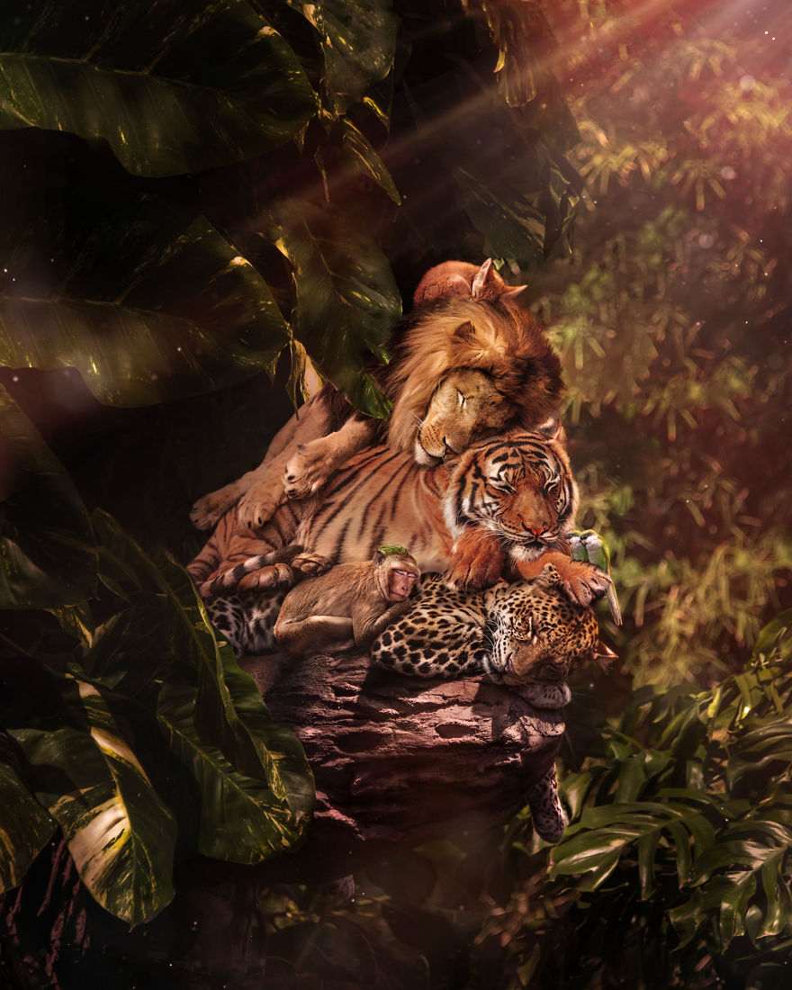 My 38 New Surreal Images That I Created To Raise Awareness About Speciesism My 38 New Surreal Images That I Created To Raise Awareness About Speciesism