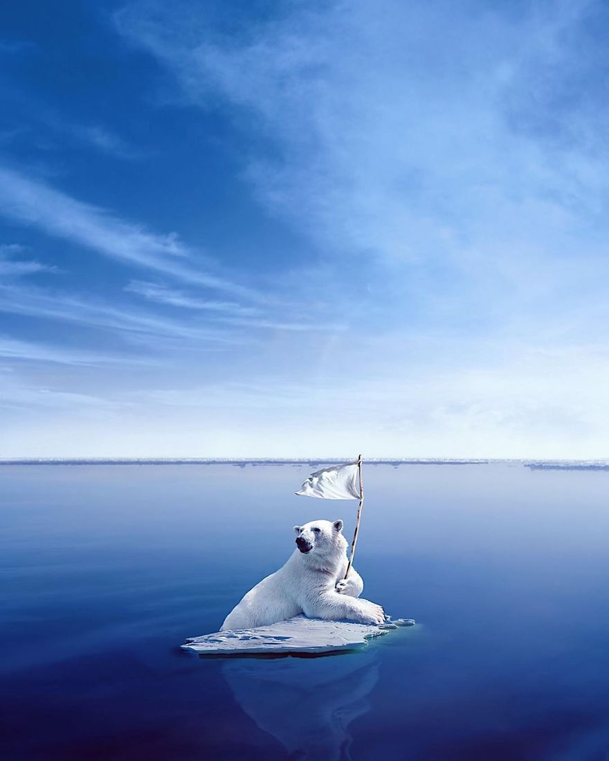 My 38 New Surreal Images That I Created To Raise Awareness About Speciesism My 38 New Surreal Images That I Created To Raise Awareness About Speciesism