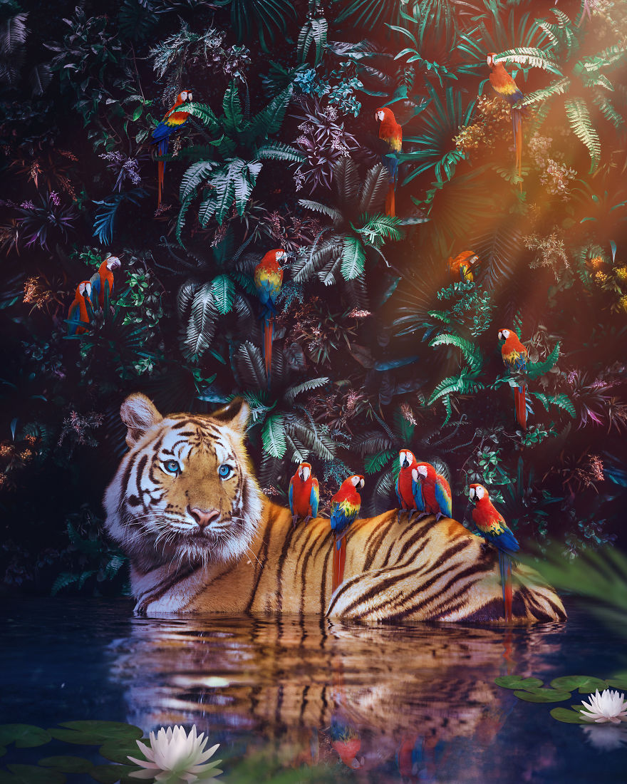 My 38 New Surreal Images That I Created To Raise Awareness About Speciesism My 38 New Surreal Images That I Created To Raise Awareness About Speciesism