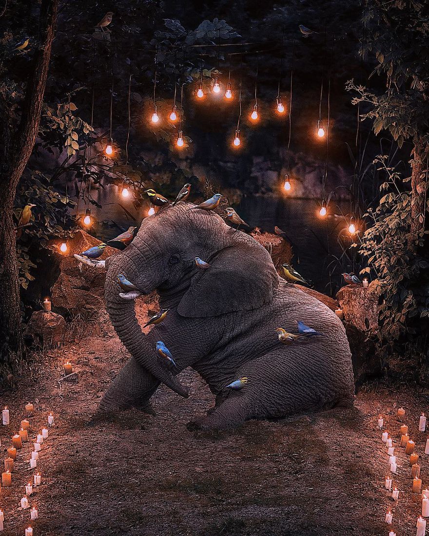 My 38 New Surreal Images That I Created To Raise Awareness About Speciesism My 38 New Surreal Images That I Created To Raise Awareness About Speciesism