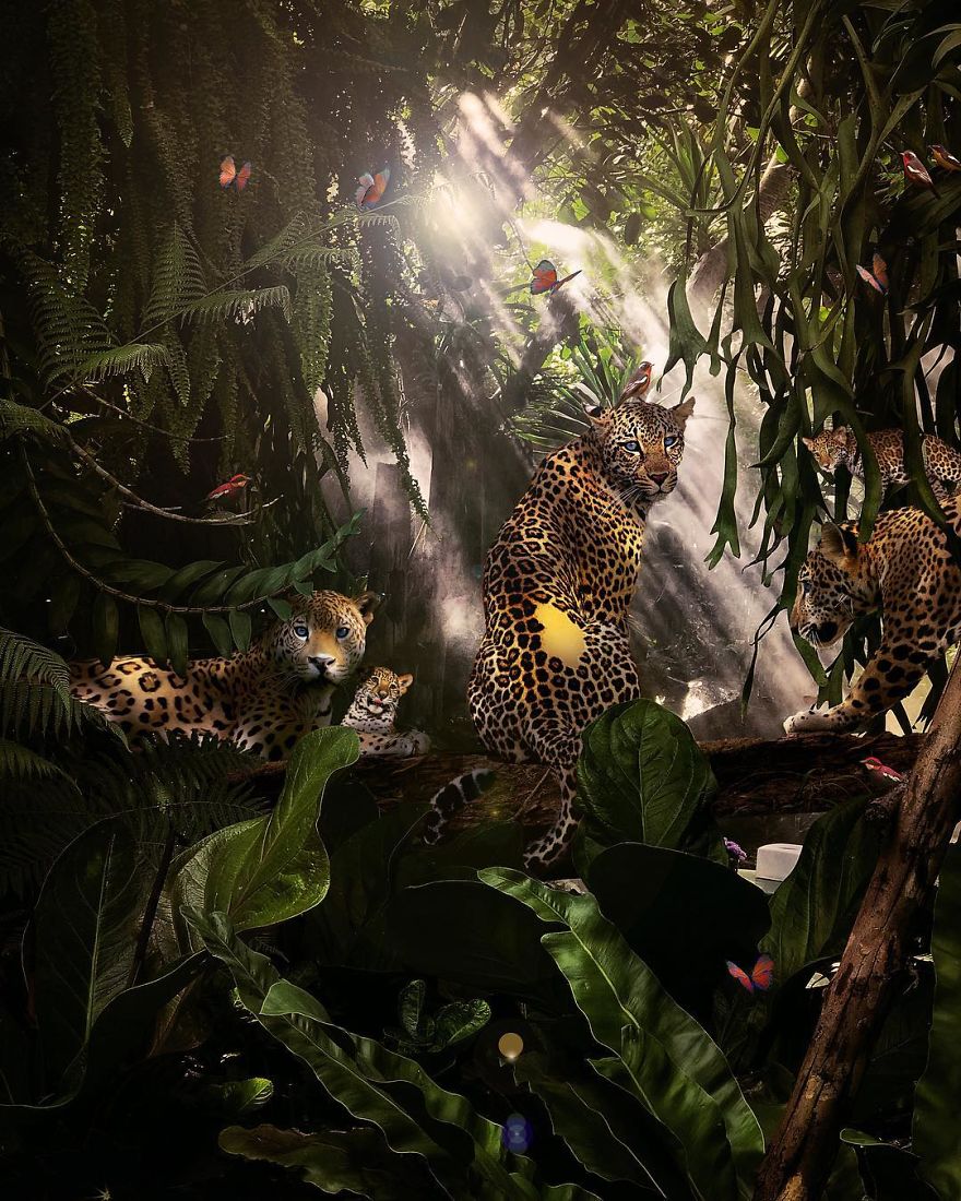 My 38 New Surreal Images That I Created To Raise Awareness About Speciesism My 38 New Surreal Images That I Created To Raise Awareness About Speciesism