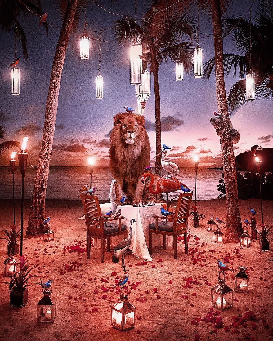 My 38 New Surreal Images That I Created To Raise Awareness About Speciesism My 38 New Surreal Images That I Created To Raise Awareness About Speciesism