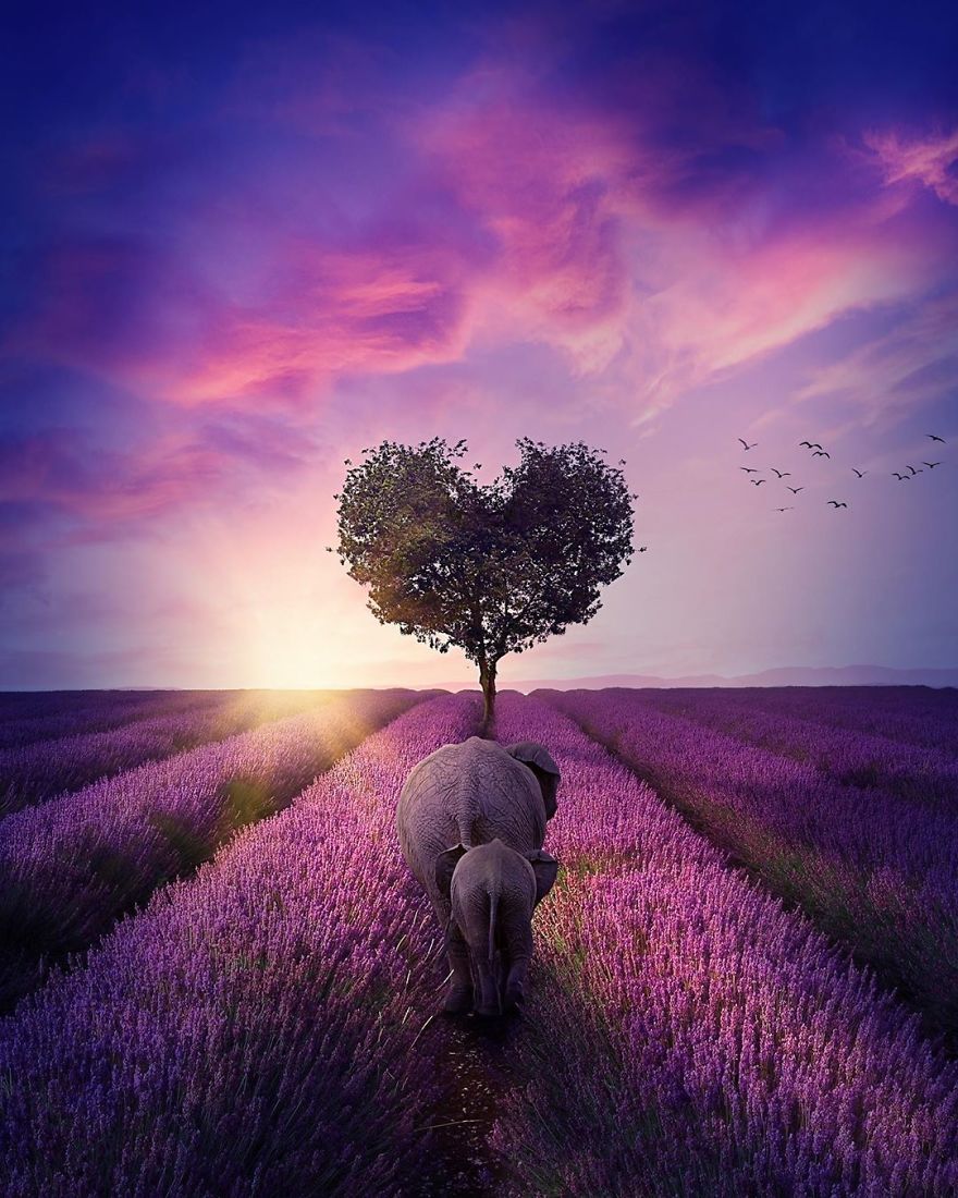 My 38 New Surreal Images That I Created To Raise Awareness About Speciesism My 38 New Surreal Images That I Created To Raise Awareness About Speciesism