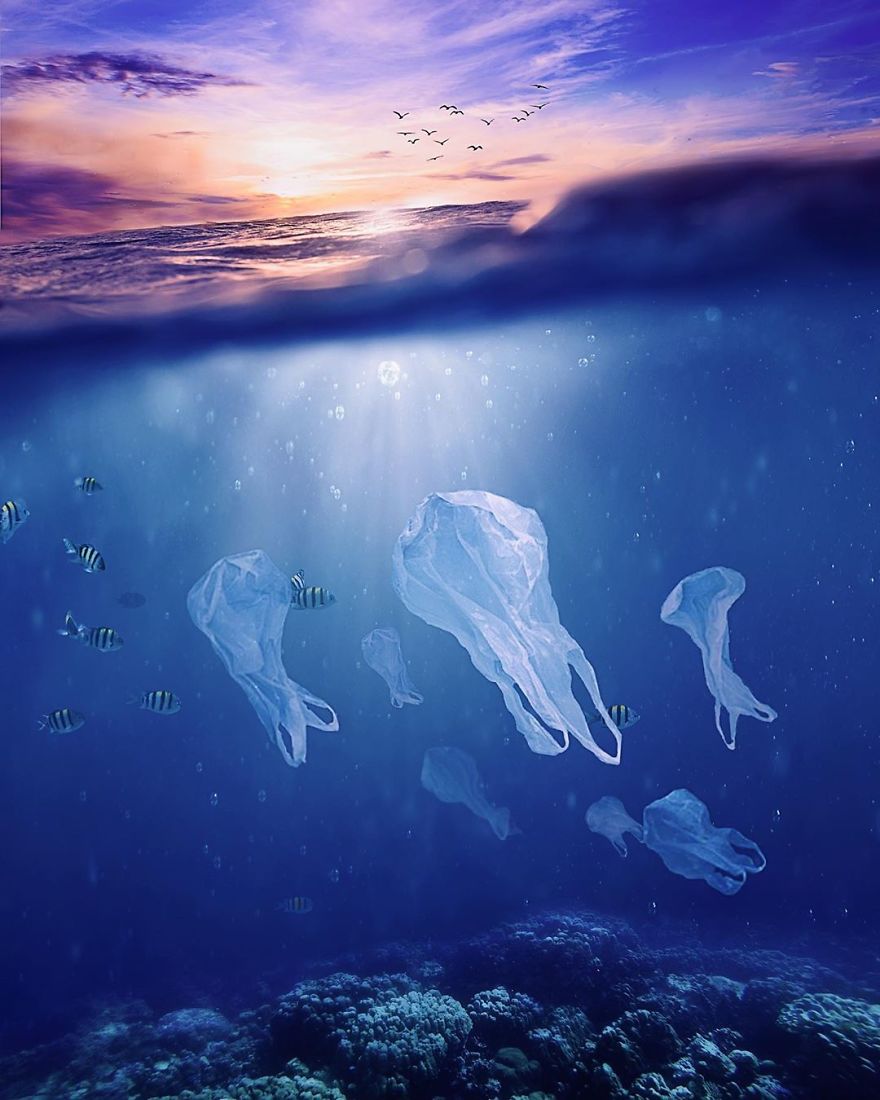 My 38 New Surreal Images That I Created To Raise Awareness About Speciesism My 38 New Surreal Images That I Created To Raise Awareness About Speciesism