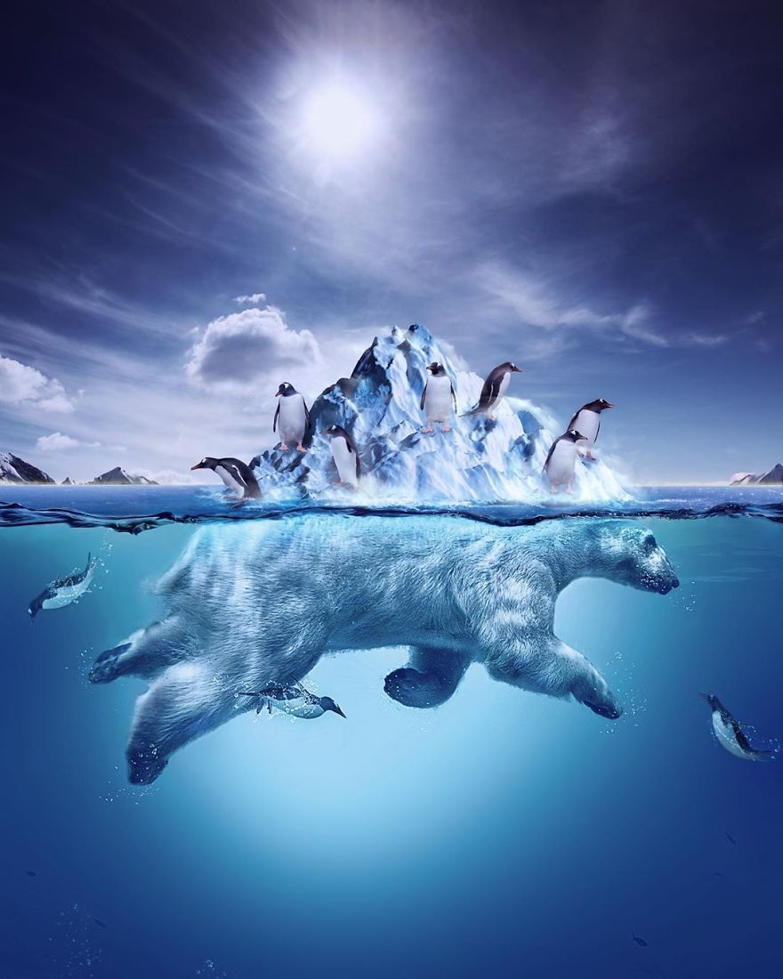 My 38 New Surreal Images That I Created To Raise Awareness About Speciesism My 38 New Surreal Images That I Created To Raise Awareness About Speciesism