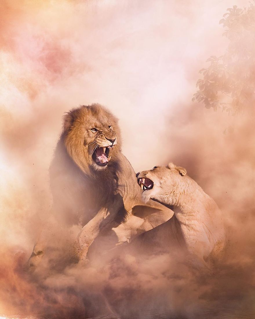 My 38 New Surreal Images That I Created To Raise Awareness About Speciesism My 38 New Surreal Images That I Created To Raise Awareness About Speciesism