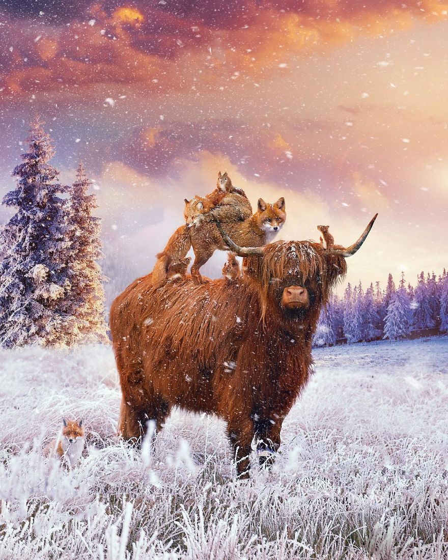 My 38 New Surreal Images That I Created To Raise Awareness About Speciesism My 38 New Surreal Images That I Created To Raise Awareness About Speciesism